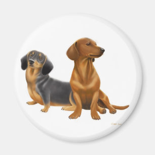 Doxie Wiener Dogs Magnet
