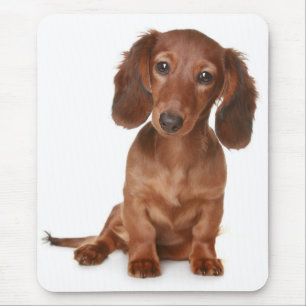Doxin Wiener Dog Lover Gift Cute Dachshund Mouse Pad