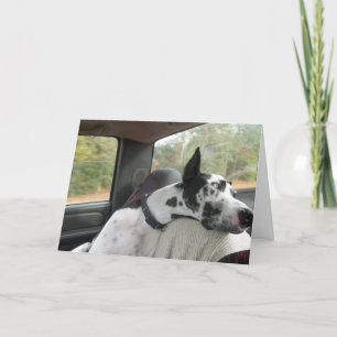 Dozer Greeting Card