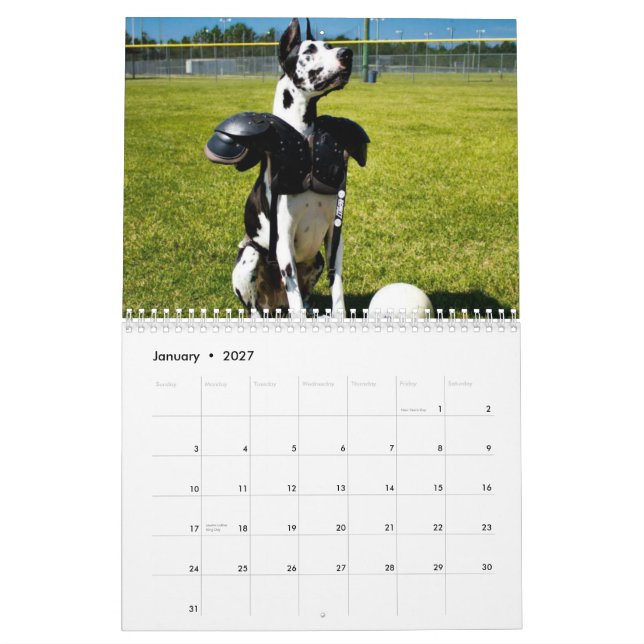 Dozer the Therapy Dog Calendar (Jan 2027)