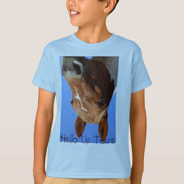 DPP_1072, Hello Up There T-Shirt (Front)