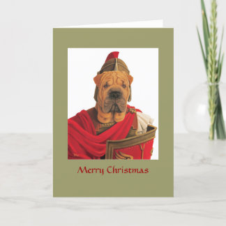 DR068 Shar Pei, Merry Christmas Holiday Card
