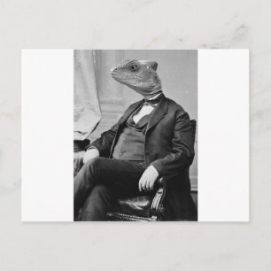 Dr. Lizard Postcard