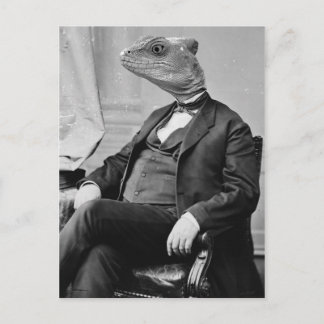 Dr. Lizard Postcard