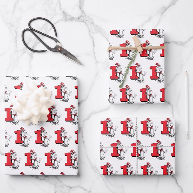 Dr. Seuss - Characters | Kids Birthday Wrapping Paper Sheet (Front)