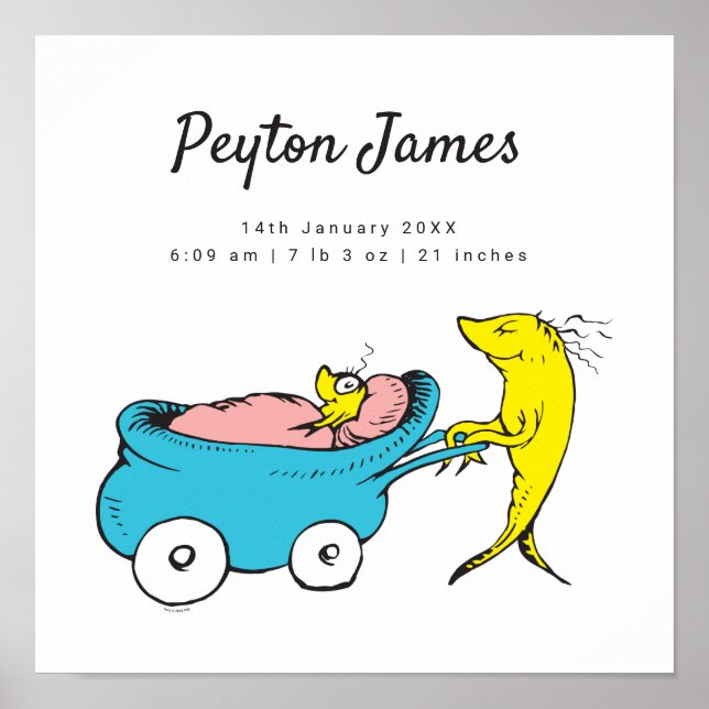 Dr. Seuss | One Fish Birth Stats Poster (Front)