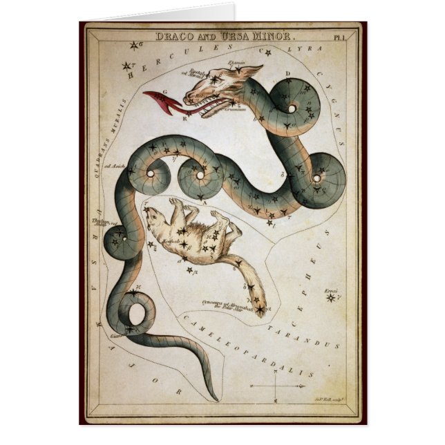 Draco and Ursa Minor (Front)