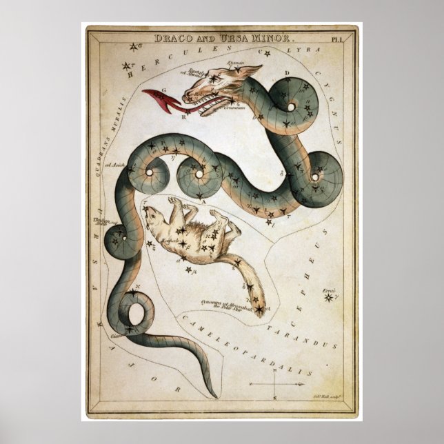 Draco and Ursa Minor Poster (Front)