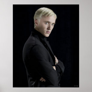 Draco Malfoy Arms Crossed Poster