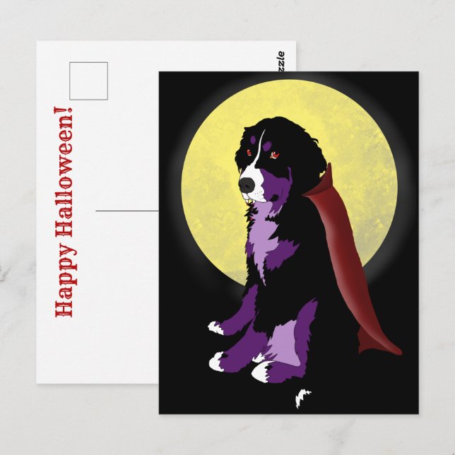 Dracula Bernese Mountain Dog Halloween Postcard (Front/Back)