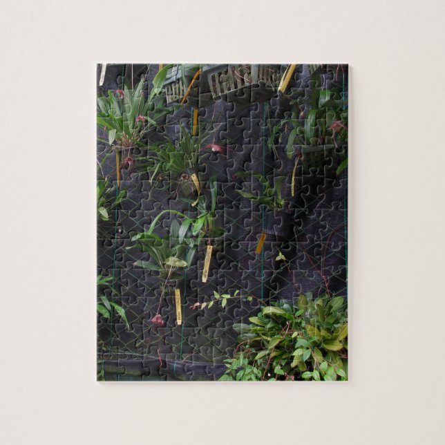 Dracula Orchid Jigsaw Puzzle (Vertical)