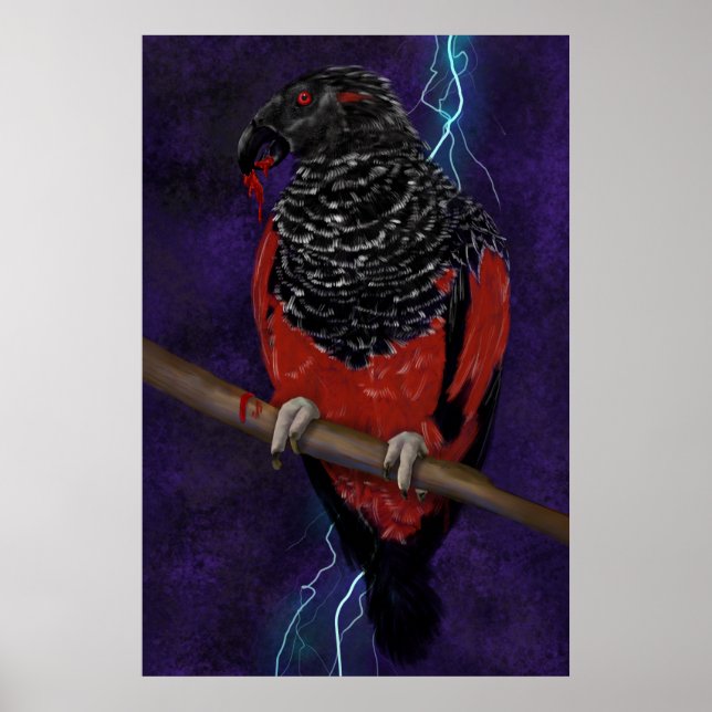 Dracula Parrot Poster (Front)