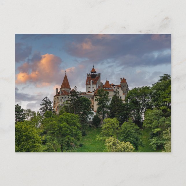 Dracula Schloss Bran postcard in Romania (Front)