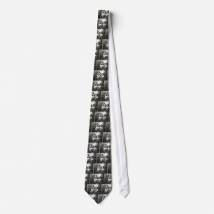 Dracula's Castle, Bran, Transylvania Tie