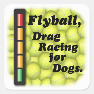 Drag Racing for Dogs Square Sticker