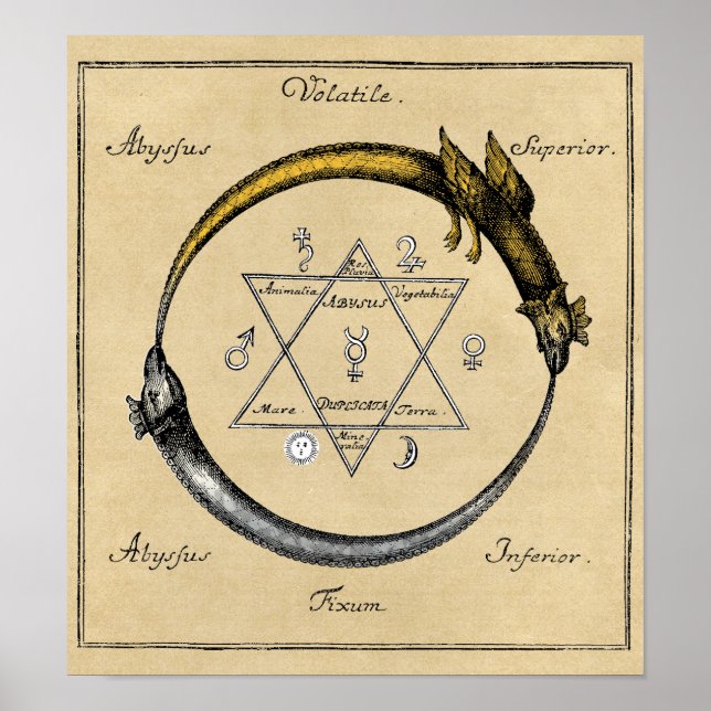Dragon and Snake Ouroboros Mandala Poster (Front)