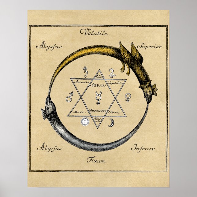 Dragon and Snake Ouroboros Mandala Poster (Front)