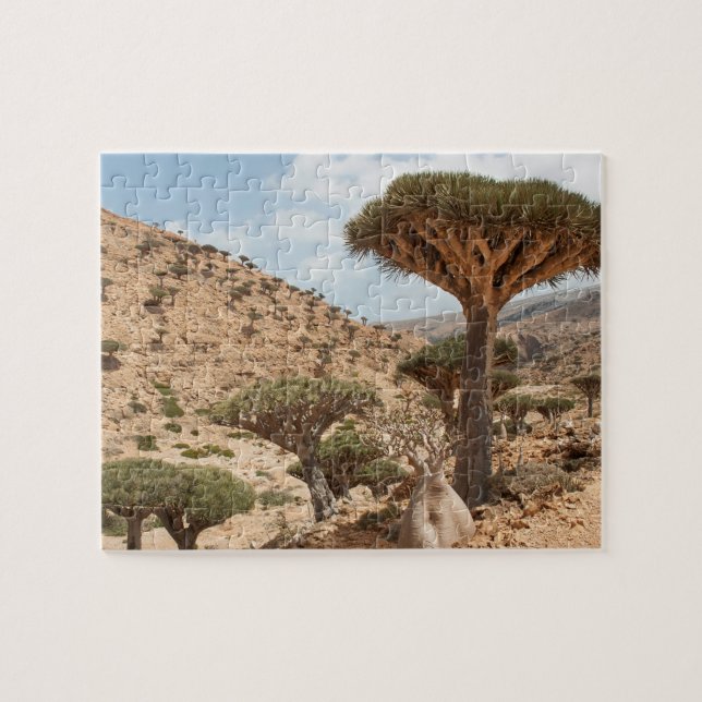 Dragon Blood Tree forest, Socotra Island, Yemen Jigsaw Puzzle (Horizontal)