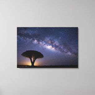 Dragon Blood Tree Milky Way Canvas Ancient Nature Print