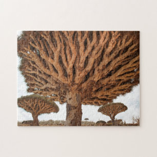 Dragon Blood Tree, Socotra Island, Yemen Jigsaw Puzzle