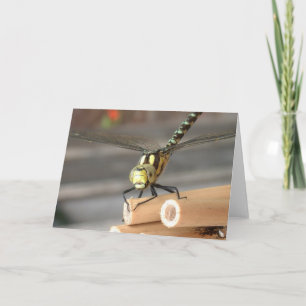 Dragon Card