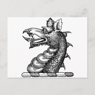 Dragon Clothing 9 Postcard