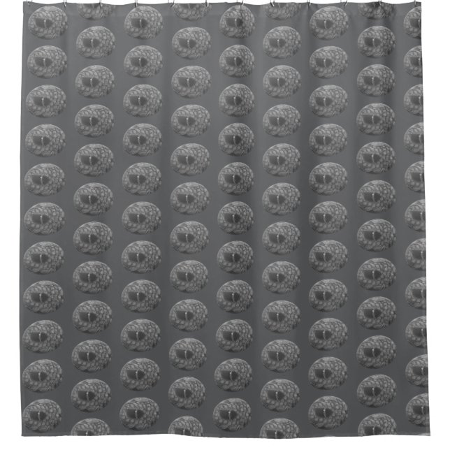 Dragon Eye  Shower Curtain (Front)