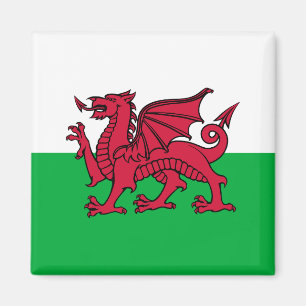 Dragon Flag of Wales, Celtic Welsh National Flag Magnet