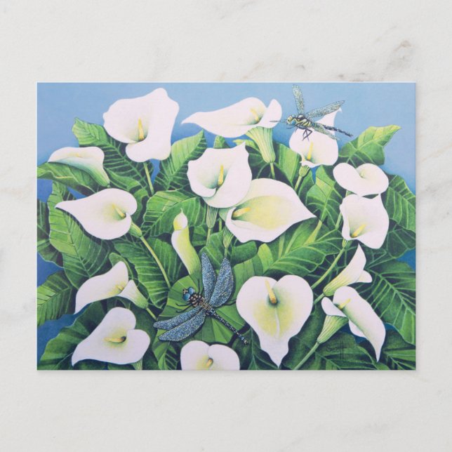 Dragon Flies Postcard (Front)