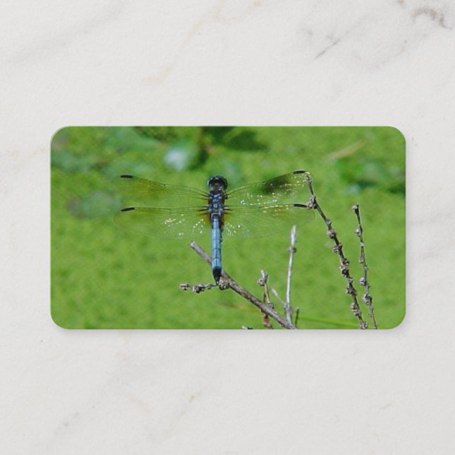 Dragon Fly Business Cards (Front)