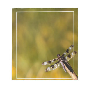 Dragon Fly Notepad