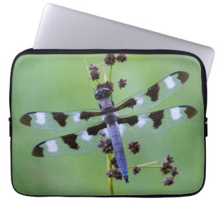 Dragon fly perched on grass, Canada Laptop Sleeve
