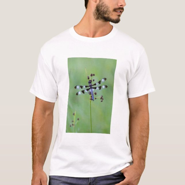 Dragon fly perched on grass, Canada T-Shirt (Front)