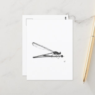 Dragon Fly Postcard