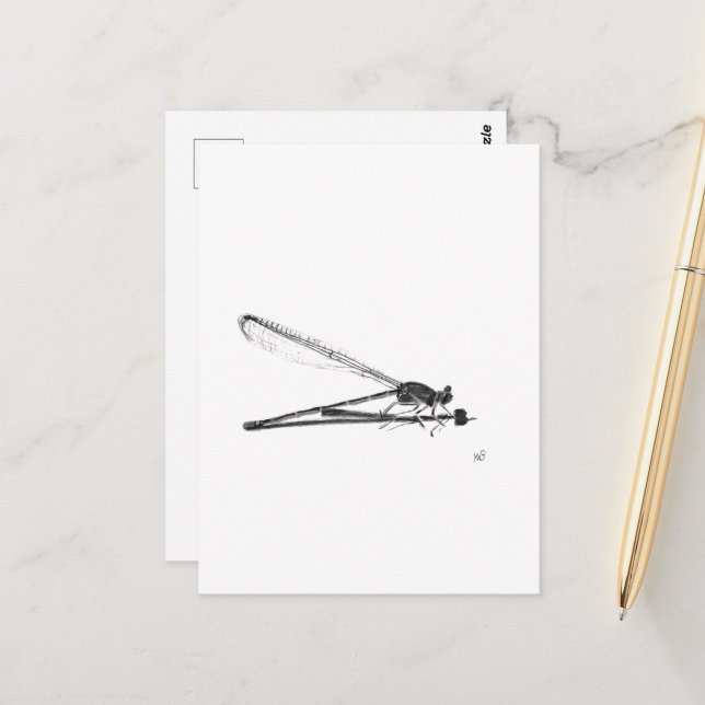 Dragon Fly Postcard (Front/Back In Situ)