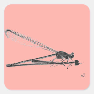 Dragon Fly Square Sticker