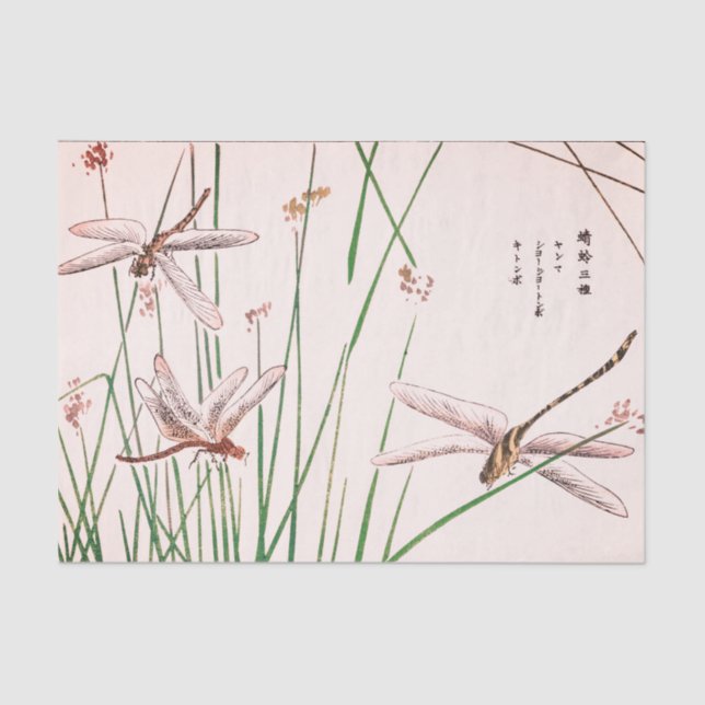 DRAGON FLY WITH GRASS Tissue Paper (Front)