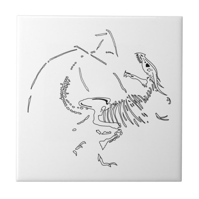Dragon Fossils Ceramic Tile (Front)