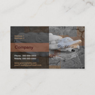 Dragon Fountain Business Card