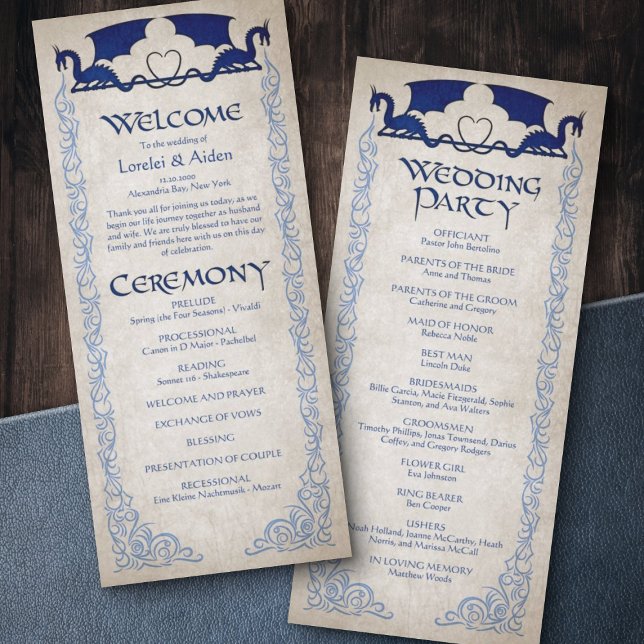 Dragon Gamer Fantasy Program (Creator Uploaded)