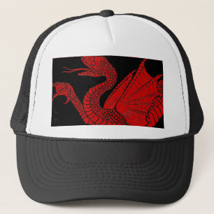 Dragon Hat