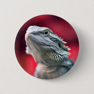 Dragon Head Button