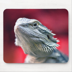 Dragon Head Mousepad
