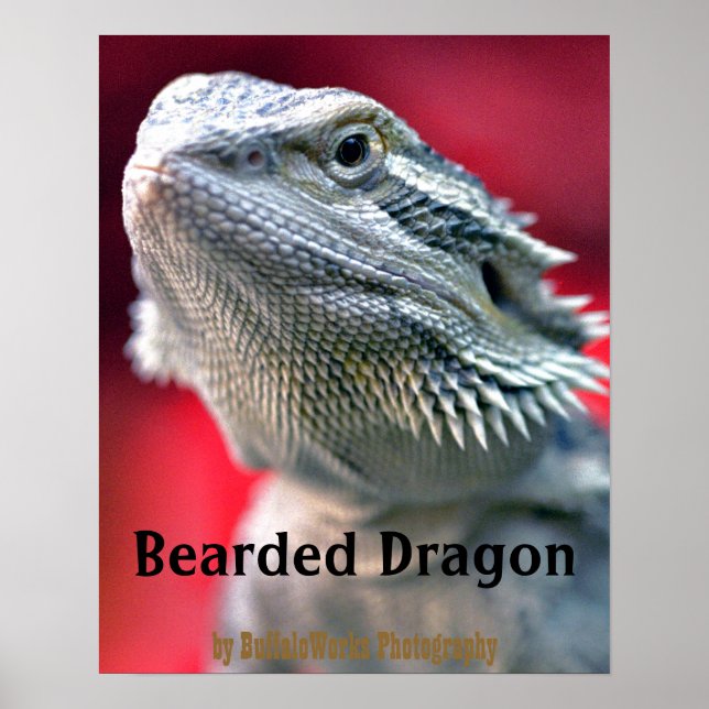 Dragon Head Poster (Front)