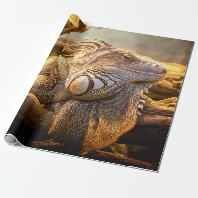 Dragon Iguana Wrapping Paper (Unrolled)