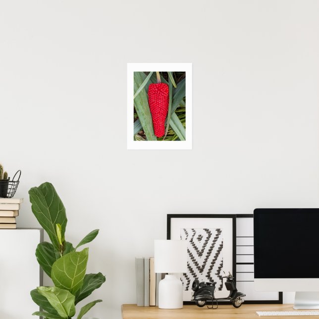 Dragon Lily Red Seed Head Botanical Poster (Home Office)