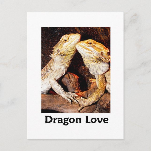 dragon love postcard (Front)