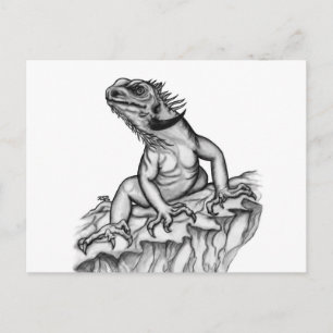 Dragon on the Rock Postcard