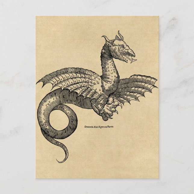 Dragon Parchment postcard (Front)