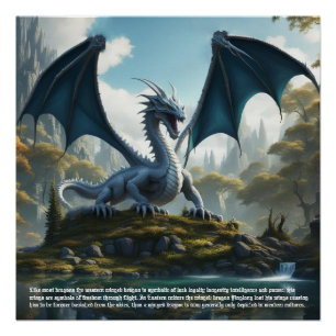 Dragon Poster
